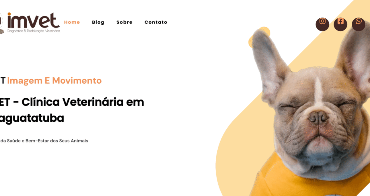 🐾 Imvet Imagem e Movimento – Clínica Veterinária em Caraguatatuba