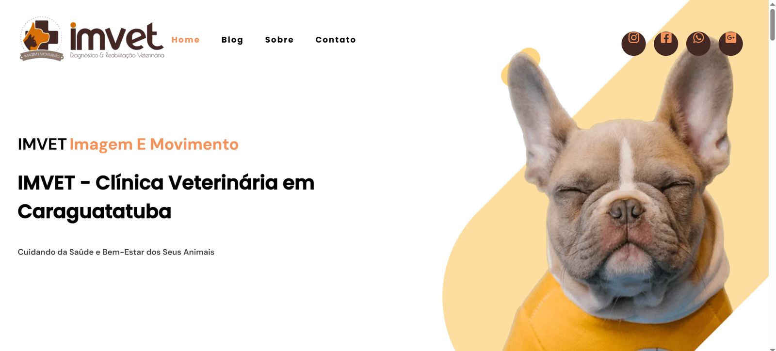 🐾 Imvet Imagem e Movimento – Clínica Veterinária em Caraguatatuba